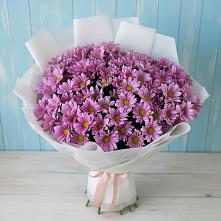 Букет цветов из:  Хризантемы в Сернуре