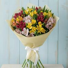 Букет цветов из:  Альстромерии в Сернуре