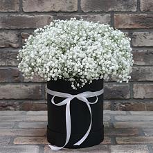 Цветочная композиция из Гипсофила в шляпной коробке #REPLACE_PRED# Сернуре